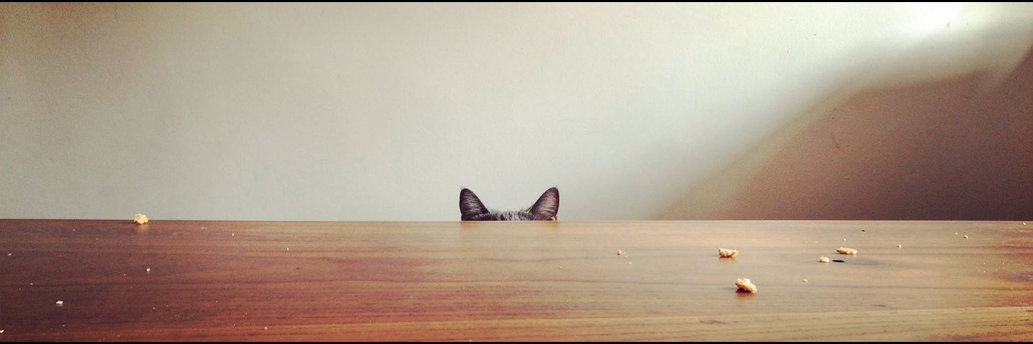 The same two cat ears clearing the same table edge, seen from further back